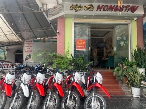 Ha Giang House | Ngan Ha Homestay