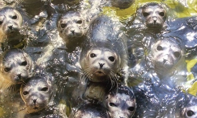 Berum Apartment | Nice open apartment at Berumer forest in a quiet location, 12 minutes to the sea