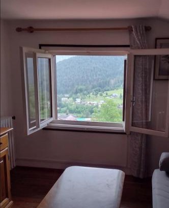 Pieve di Cadore Apartment | Nido del Falco