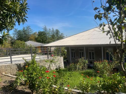 Tsqaltubo House | Nika house