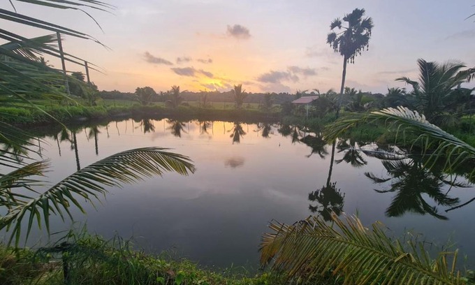 Palakkad Other | Nila Organica Farm Stay