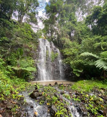 Nimbin House | Nimbin waterfall retreat