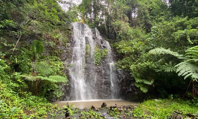 Nimbin Cabin | Nimbin Waterfall Retreat