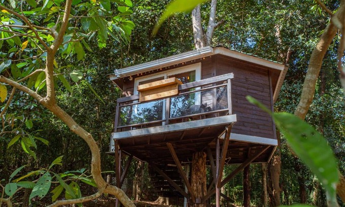 Maina Resort | Nirvana Hill Resort