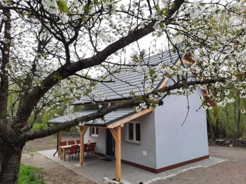 Janowice Wielkie House | Noclegi Różanka