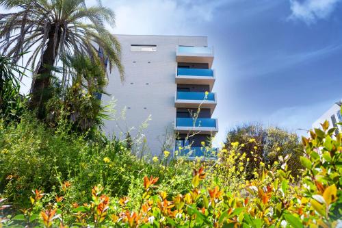 Reyes Huertas Apartment | Nova Suite