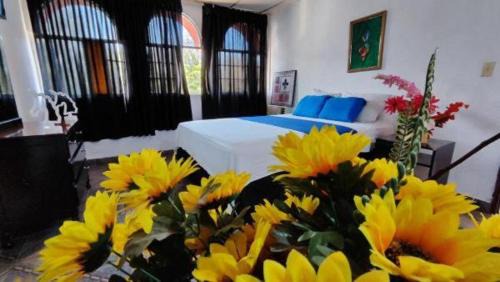 David Apartment | NUEVA ADM- Hotel Occidental