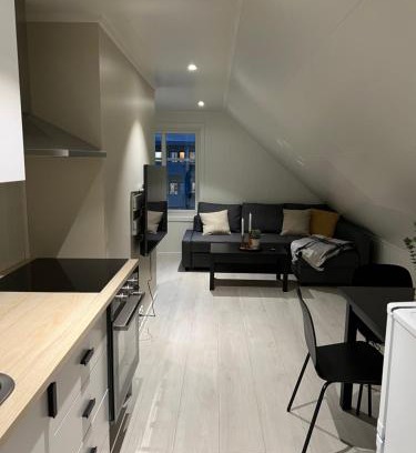 Bodo Apartment | Ny og moderne 2-roms leilighet