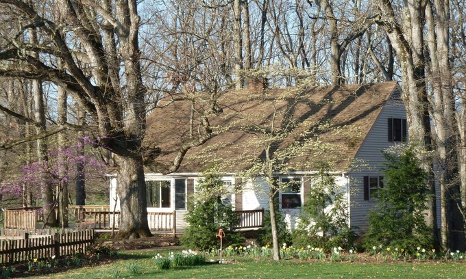 Lyndhurst House | Oak Tree Cottage: Beautiful farm with mountain views.
