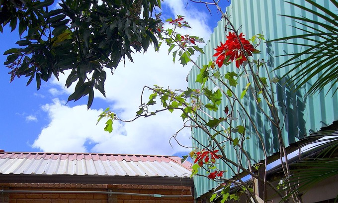 San Francisco Apartment | Oasis in a city apartment