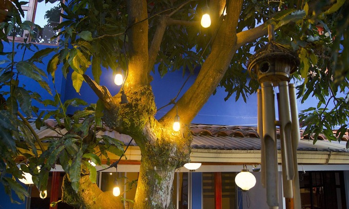 San Francisco Apartment | Oasis in the city apartment C