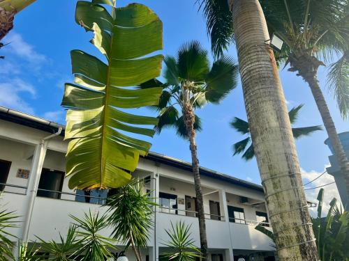 Porto Seguro Hotel | Oasis Praia Hotel