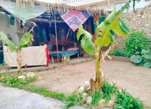 Tamrhakht House | Ocean Jam Surf House