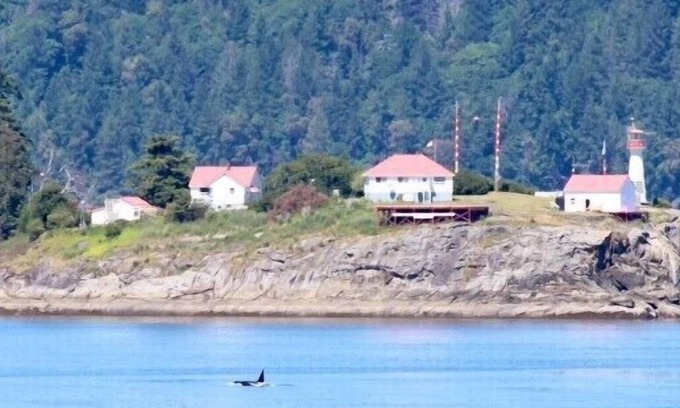 Regional District of Nanaimo House | Oceanfront*Relax with the Eagles*Dog Friendly