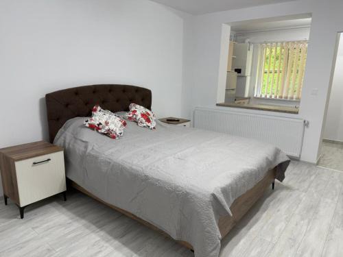 Ocna Mures Apartment | Ocna Escape 4