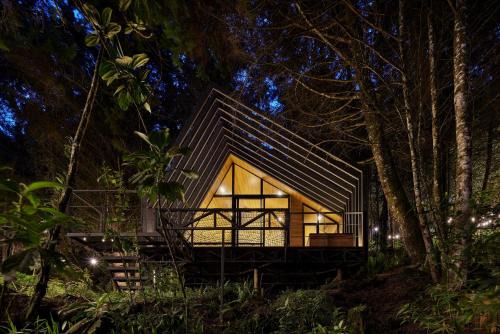 Envigado Other | Oculto refugio de bosque