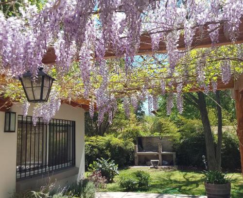 Chacras de Coria House | Old Willow