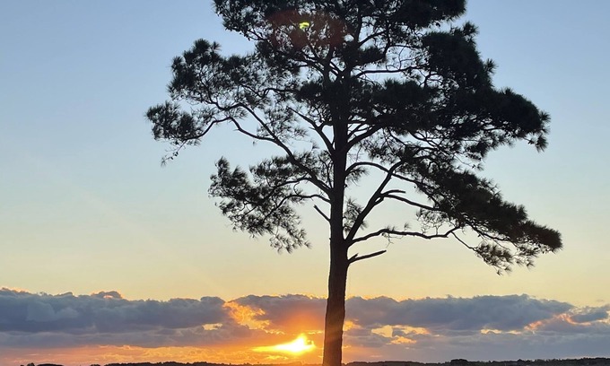 Barco House | On the Currituck Sound