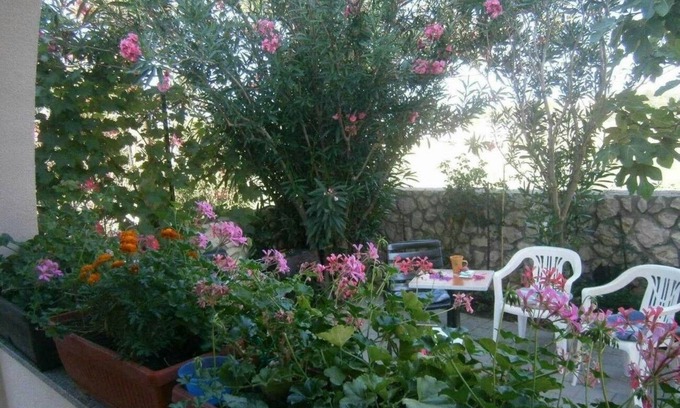 Privlaka Apartment | One bedroom apartment with terrace Privlaka, Zadar (A-24002-b)