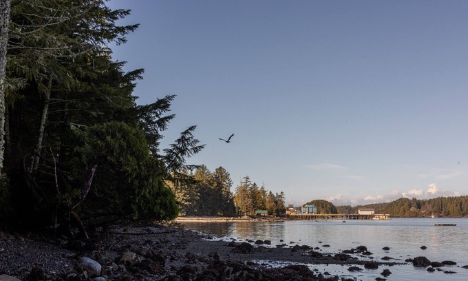 Ucluelet Cabin | Orca Cabin I Wild Pacific Trail I Pets I Big Beach