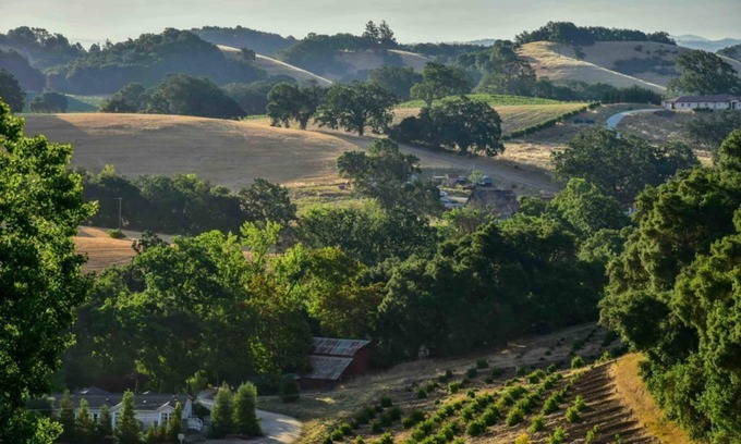 Paso Robles House | Orchard Hill Farm-Elegant Comfort in Desirable West Side Paso Robles!