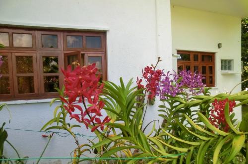 Anse La Mouche House | Orchid Sunset Guest House