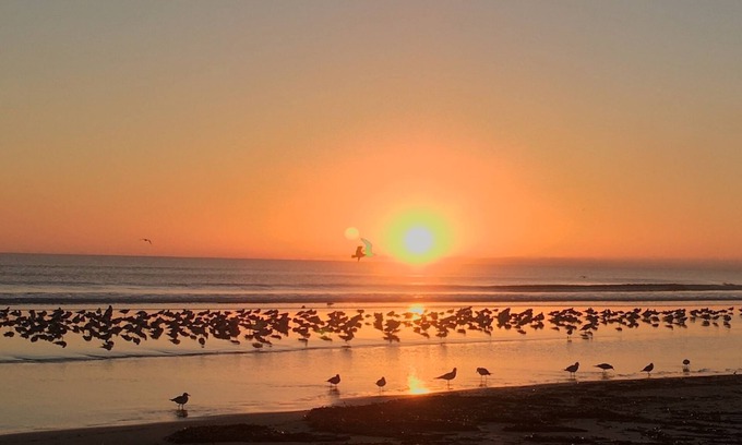 Daytona Beach Hotel | Organic Beach Retreat