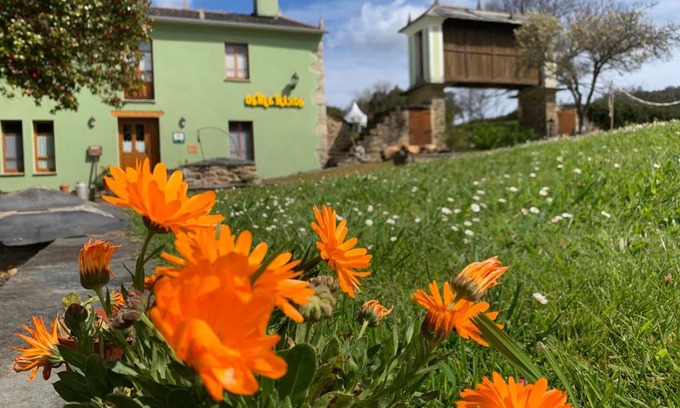 Foz House | Os Tres Teixos