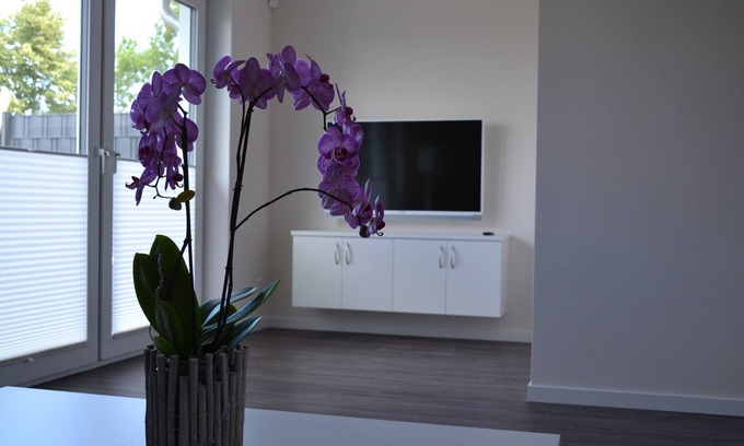 Biendorf House | Ostseeoase Kühlungsborn "Haus mussel" ALL INCLUSIVE