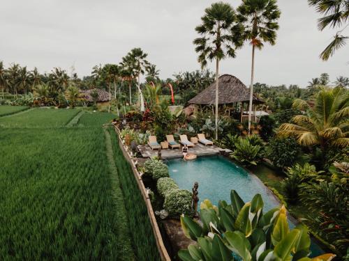 Payangan Resort | Padi Bali Retreat