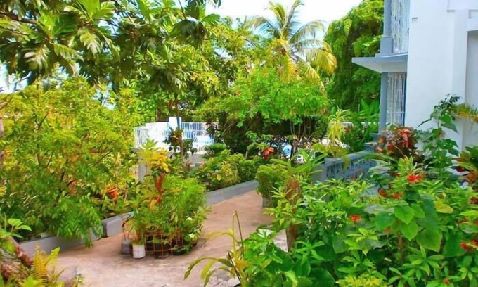 Montego Bay Hotel | Palm View Guesthouse and Conference Centre