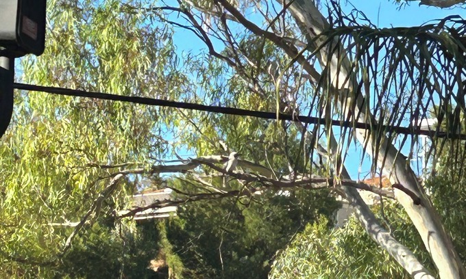 Darlington Apartment | Palm View Studio on a quiet no through rd can walk to restaurants & pub,bus stop