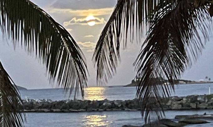 La Grande Princesse Condo | Palms Trees & Oceanfront Condo: FAB Reviews -So Cozy 2BD-2Bath,Deck,Pool & WiFi