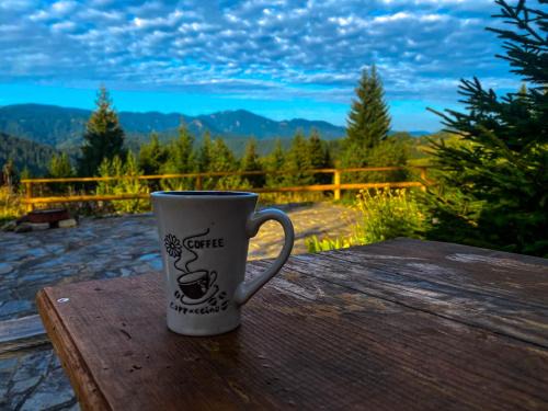Pamporovo Apartment | Panorama View-Stoykite