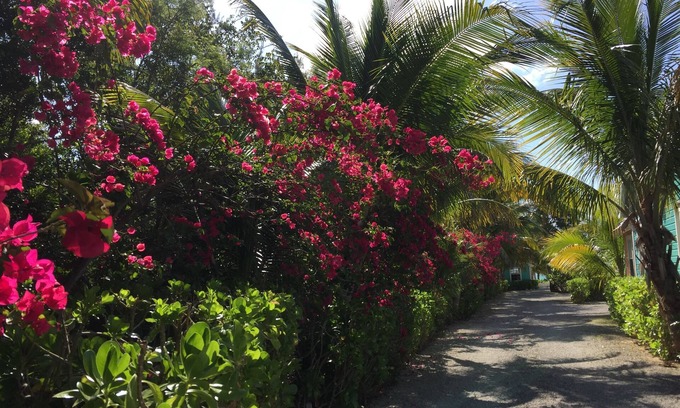 Freeport Cottage | Paradise on miles of white sandy beach and turquoise sea, private and secure.