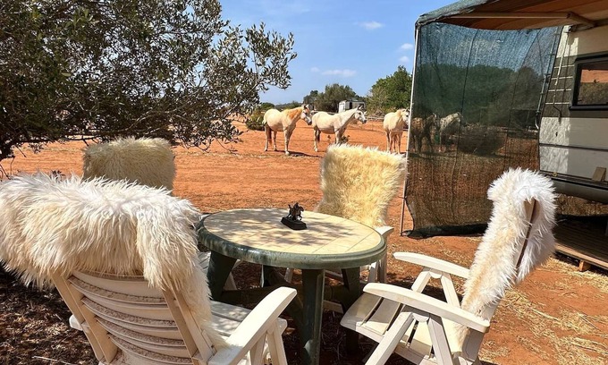 Lagos House | Pauls caravan for 4 - See the horses from your bed