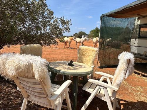 Lagos House | Pauls caravan for 4 - See the horses from your bed