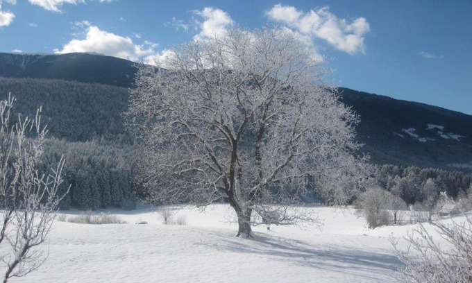 Issengo Apartment | Pension Grünbacher