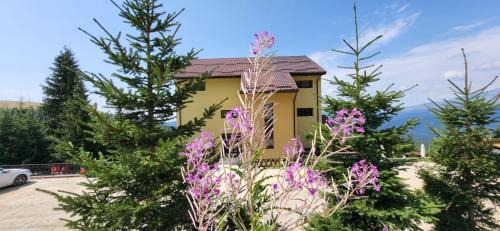 Novaci House | Pension Valea Mariei