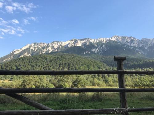 Zarnesti House | Pensiunea Kyfana Zarnesti