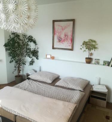 Zatec Apartment | Penzion Flóra
