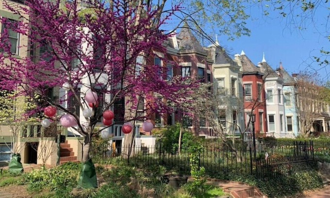 Northeast Apartment | Perfect Location in Capitol Hilln