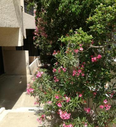Agia Marina Apartment | Pericles Studios