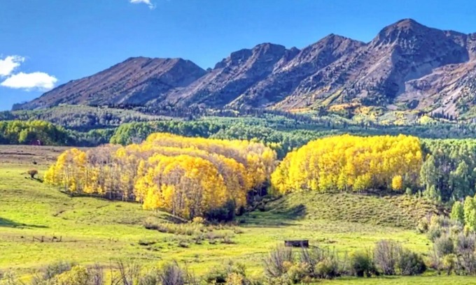 Crested Butte Condo | PET Friendly, SLOPE-Side, Sleeps 4, Kitchen & POOL