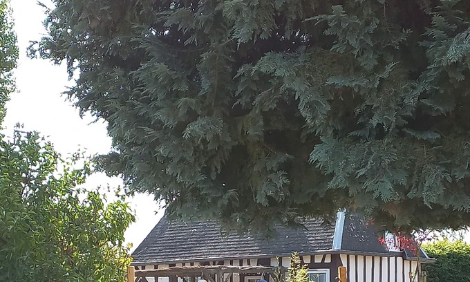 St-Cyr-de-Salerne Cottage | Petit Gîte de Charme Normand