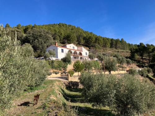 Arguellite House | Pilar de la Sima casa rural Arguellite Yeste