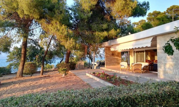 Chalcis Villa | Pine tree beachfront villa