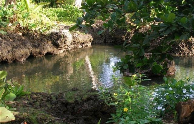 Cahuita Hotel | Piscina Natural on the Sea