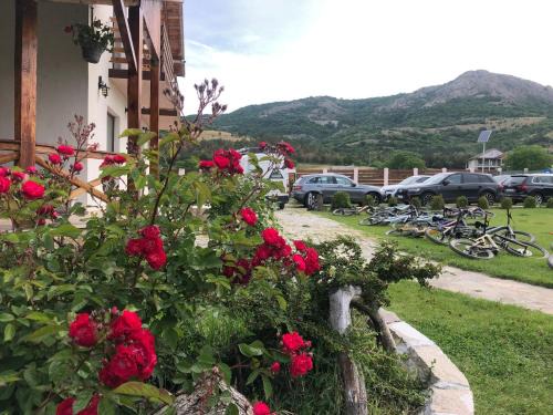 Greci House | Plai Dobrogean