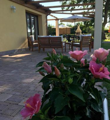 San Giuliano Terme Apartment | Podere Gabry